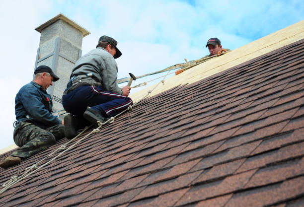 Best Roof Maintenance Services  in Monte Vista, CO
