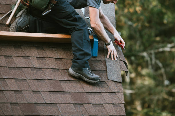 Best Metal Roofing Contractor  in Monte Vista, CO